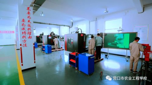 以網(wǎng)絡(luò)技術(shù)賦能職業(yè)教育 推動實(shí)用高效發(fā)展，增強(qiáng)服務(wù)區(qū)域經(jīng)濟(jì)能力